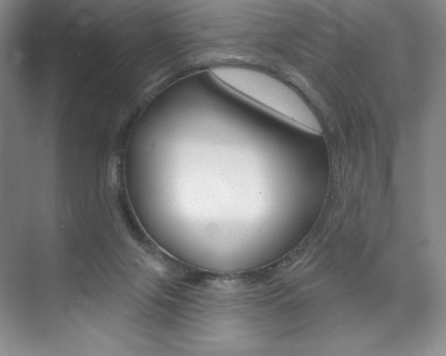 X0000073830071200608101012