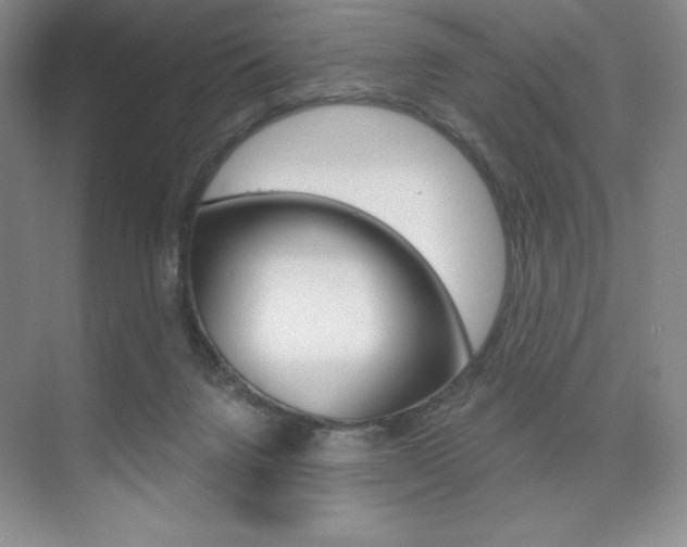 X0000073830072200608101012