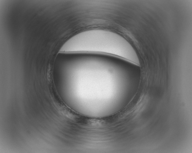 X0000073830073200608101012