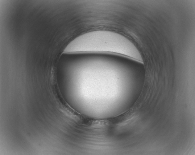 X0000073830077200608101012