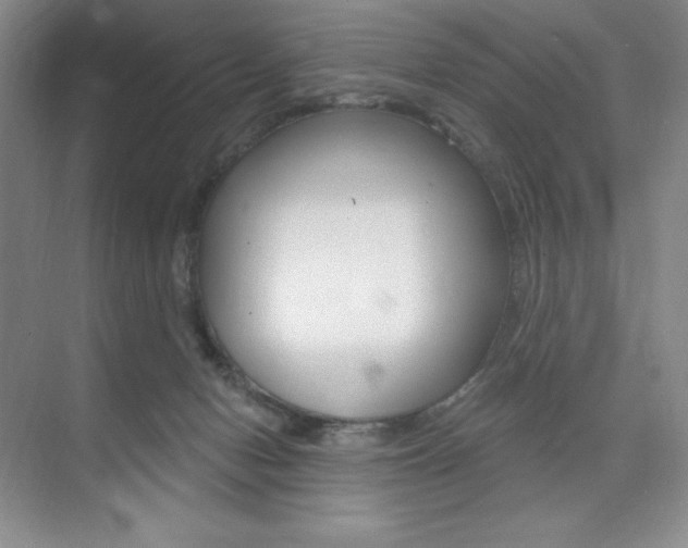 X0000073830078200608101012