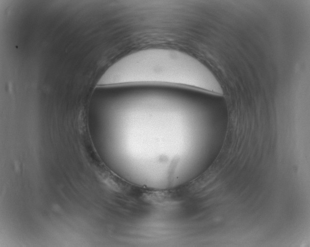 X0000073830079200608101012