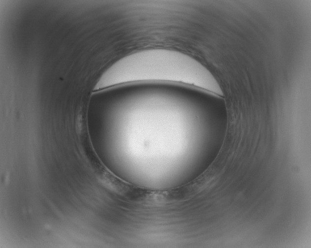 X0000073830080200608101012