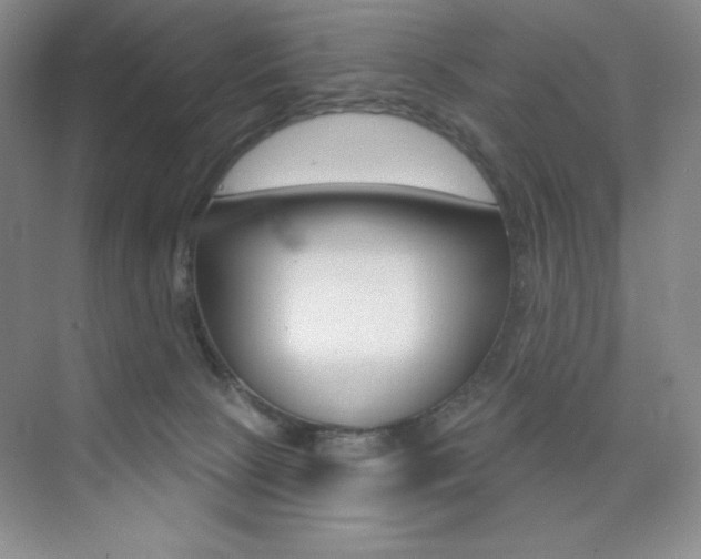 X0000073830081200608101012