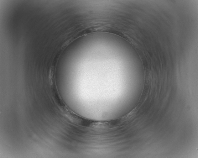 X0000073830082200608101012