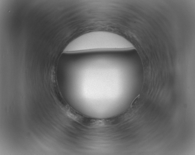 X0000073830083200608101012