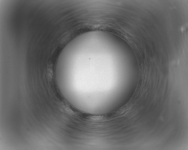 X0000073830085200608101012