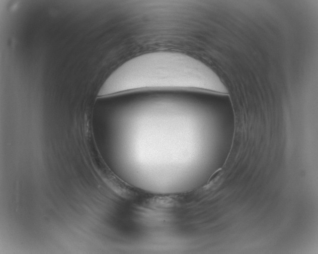 X0000073830086200608101012