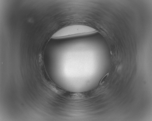 X0000073830087200608101012