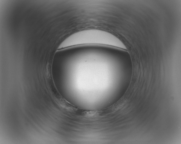 X0000073830088200608101012