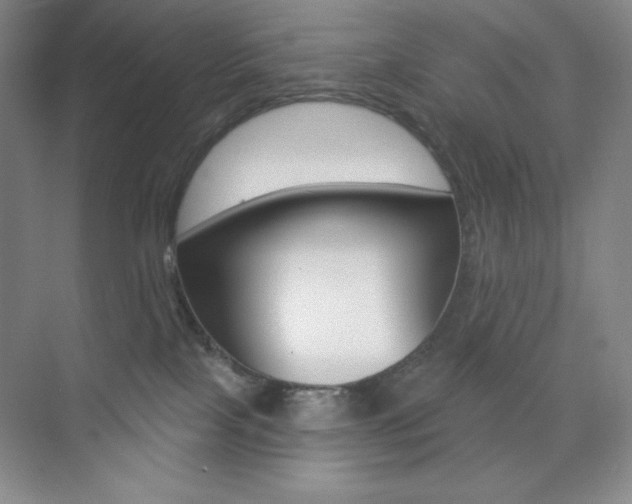 X0000073830089200608101012