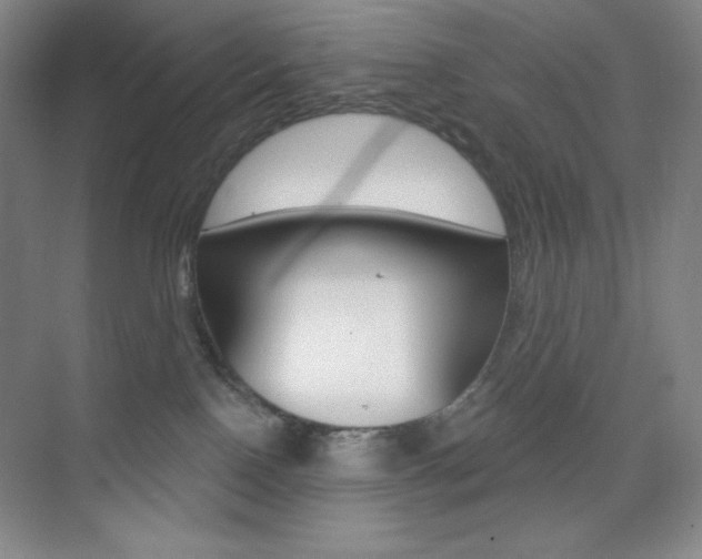 X0000073830090200608101012