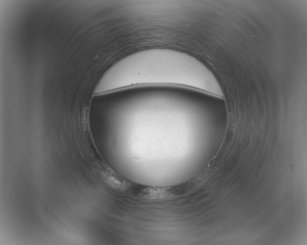 X0000073830093200608101012