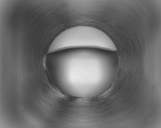 X0000073830094200608101012