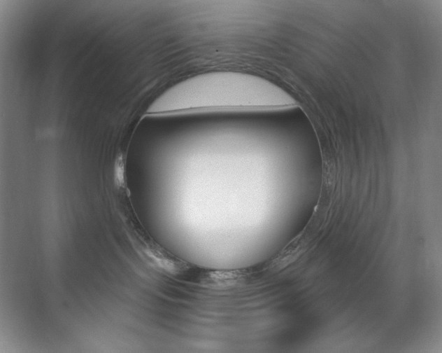 X0000073830095200608101012