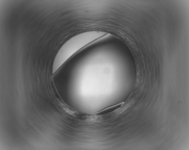 X0000073830096200608101012