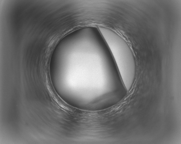 X0000073830097200608101012