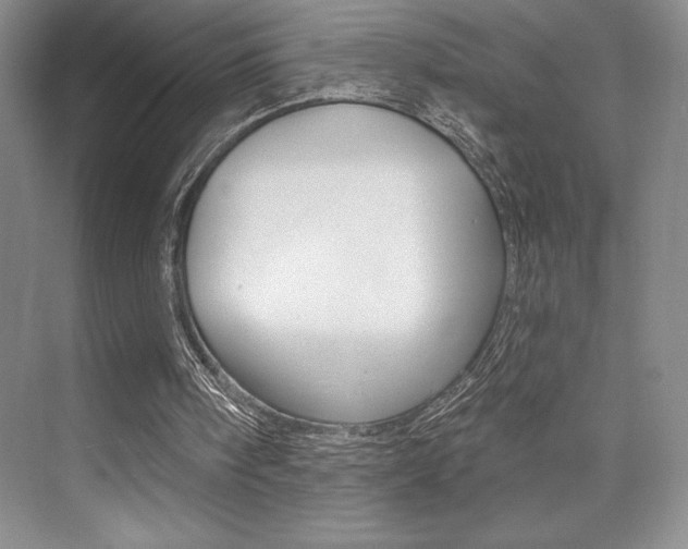 X0000073830098200608101012