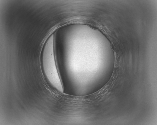 X0000073830099200608101012