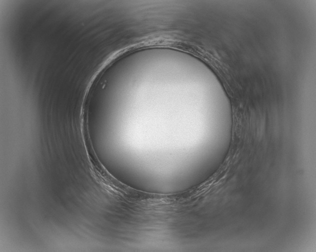 X0000073830100200608101012