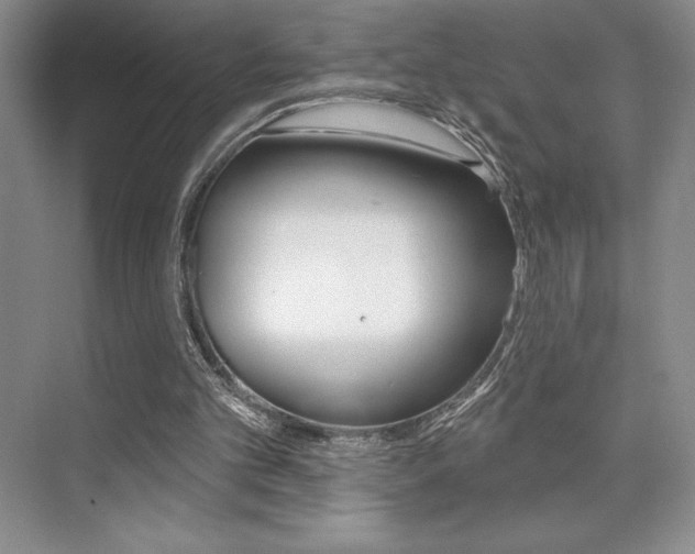 X0000073830101200608101012