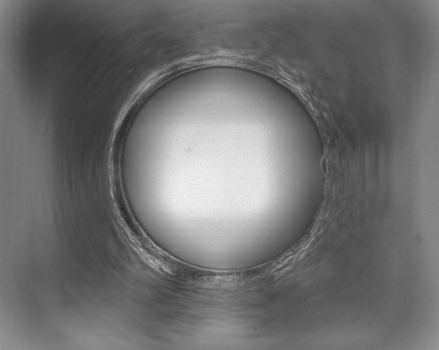 X0000073830102200608101012