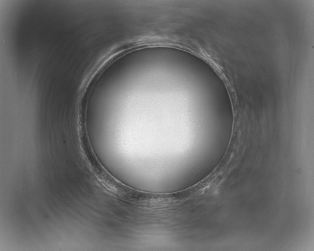 X0000073830103200608101012