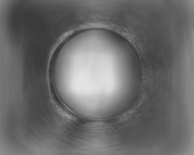 X0000073830104200608101012