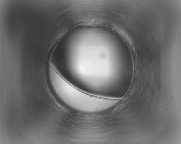 X0000073830105200608101012