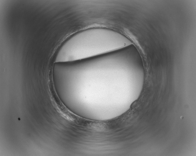 X0000073830106200608101012