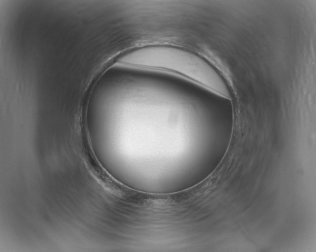 X0000073830107200608101012