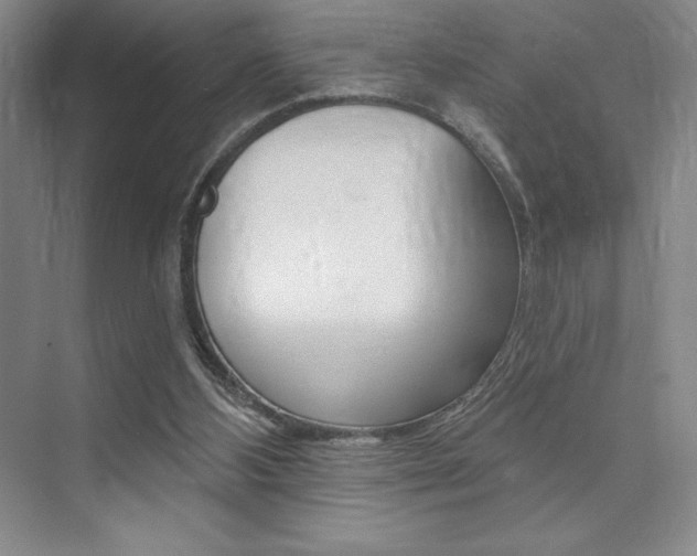 X0000073830108200608101012