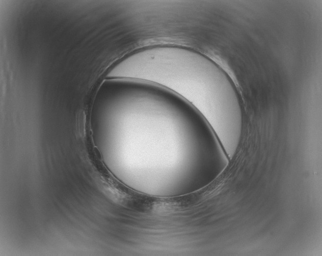 X0000073830109200608101011