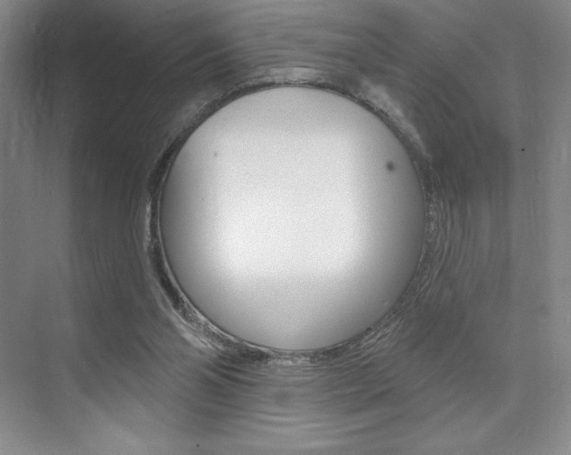 X0000073830110200608101011