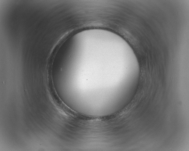 X0000073830112200608101011