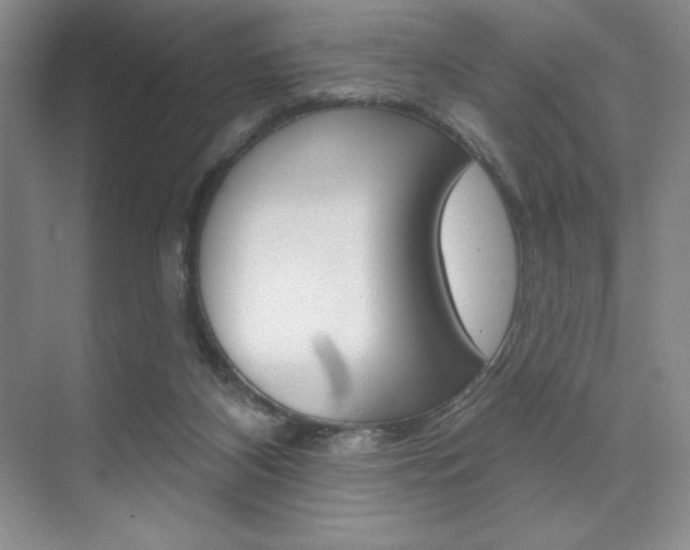 X0000073830116200608101011