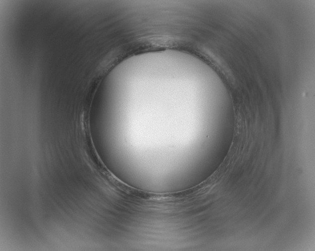 X0000073830117200608101011