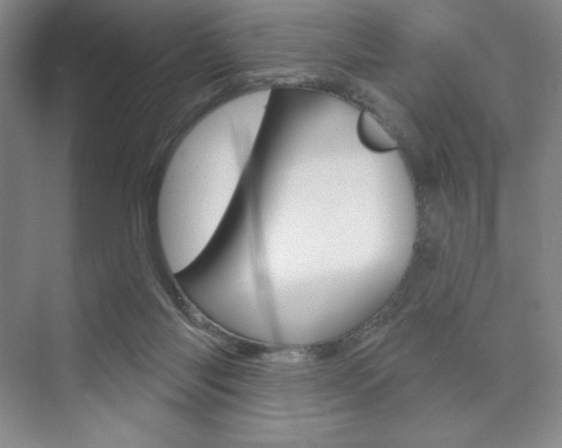 X0000073830118200608101011