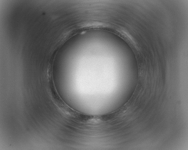 X0000073830119200608101011