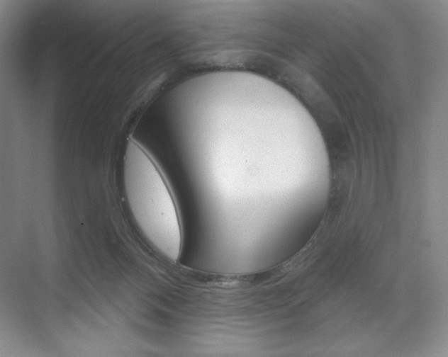 X0000073830120200608101011