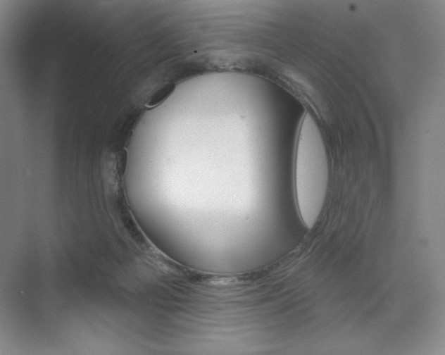 X0000073830121200608101011