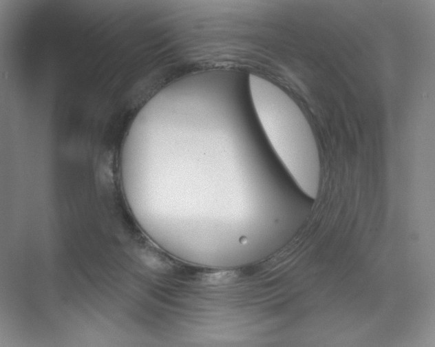 X0000073830122200608101011