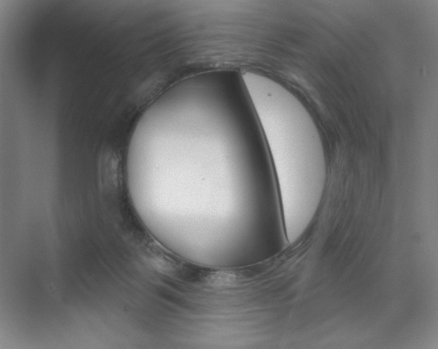 X0000073830123200608101011