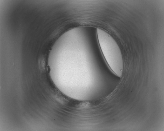 X0000073830124200608101011