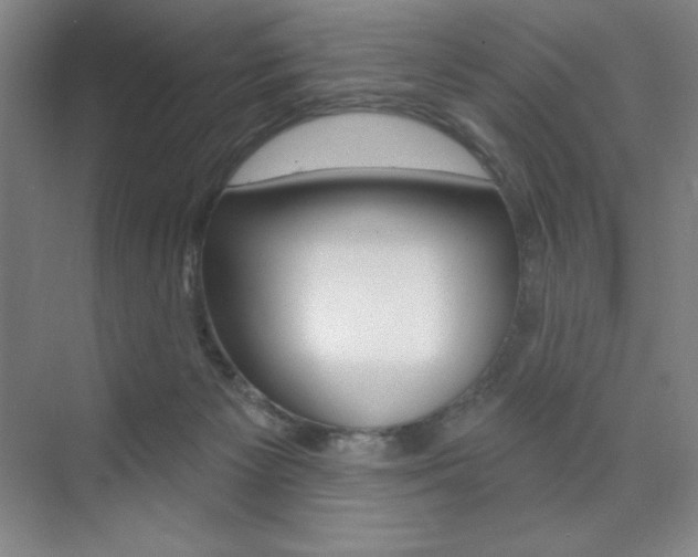 X0000073830125200608101011