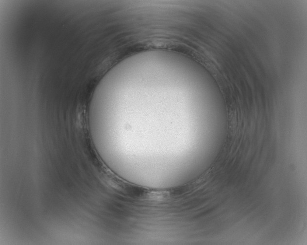 X0000073830126200608101011