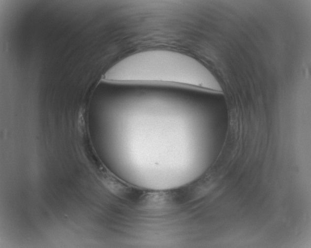 X0000073830127200608101011