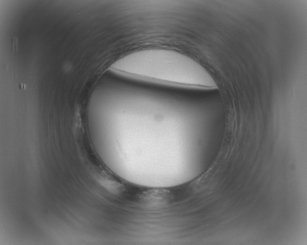 X0000073830128200608101011