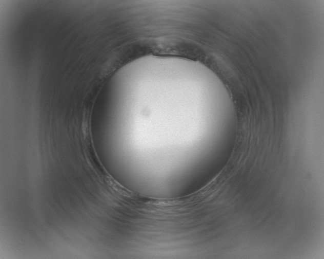 X0000073830129200608101011