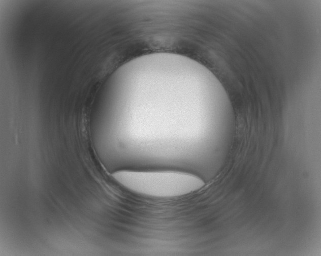 X0000073830130200608101011